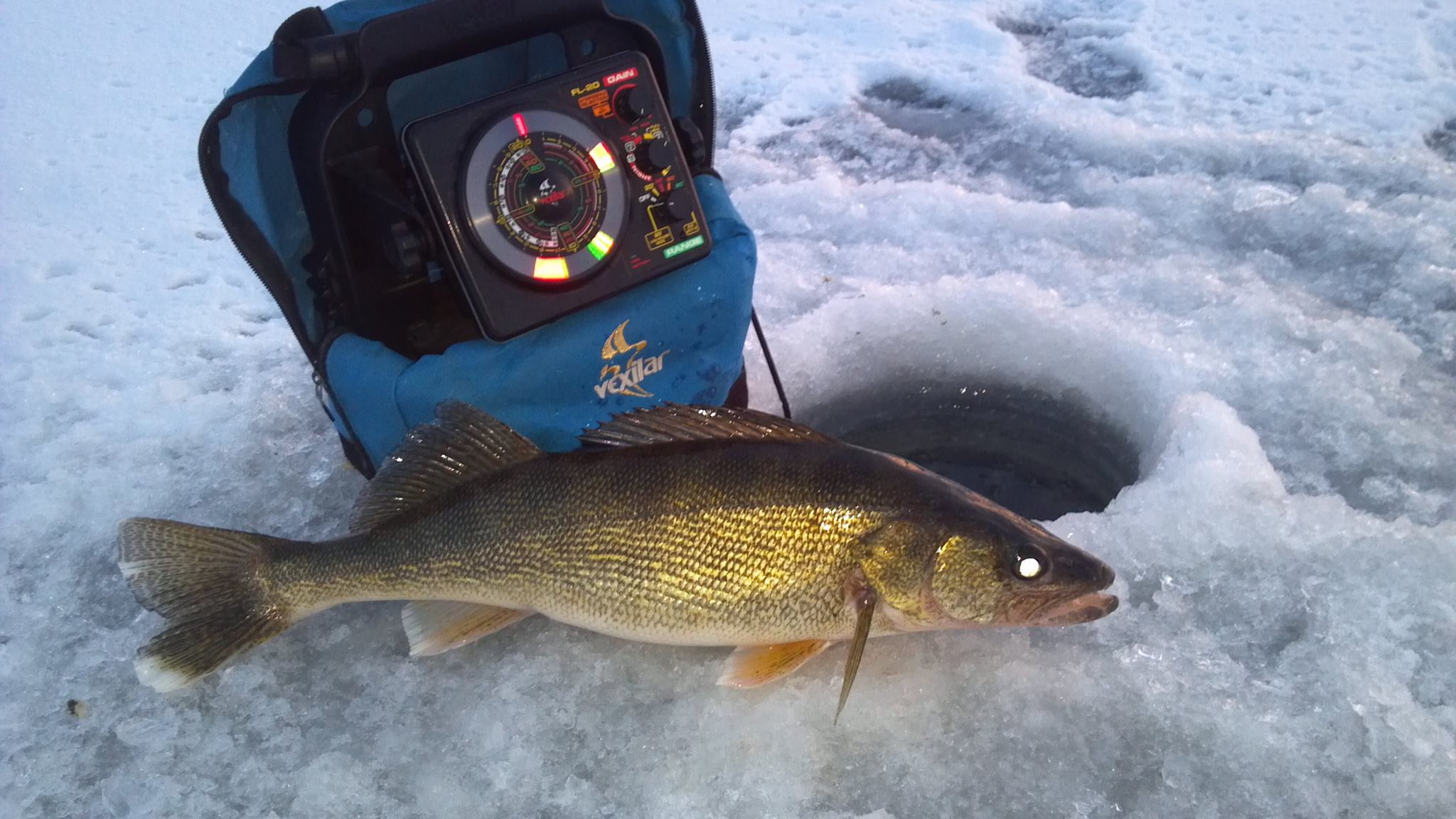 In The Bag Guide Service | Green Bay Fishing Guide | Captain Chris Bartsch